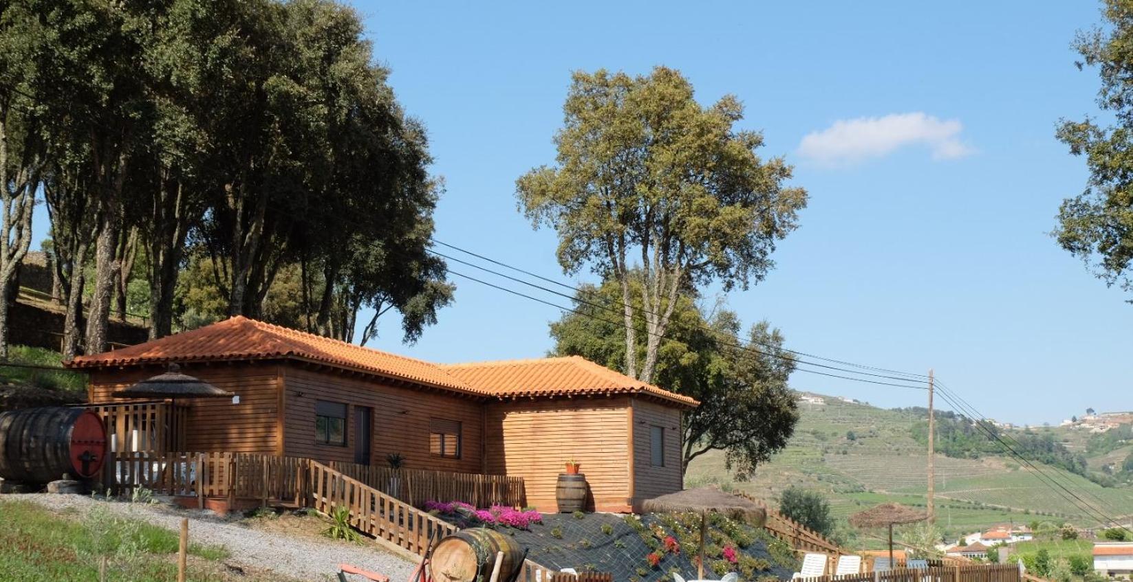 Вілла Quinta Da Bandeira - Casa De Ferias No Douro Martir Екстер'єр фото